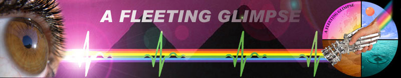 Logo 16